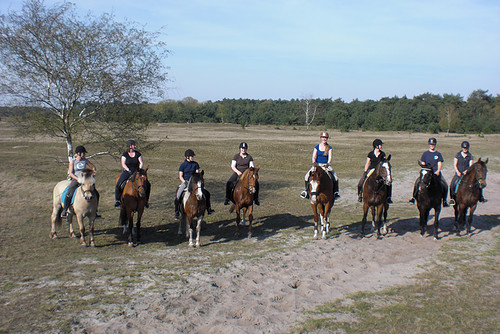 pony rijden